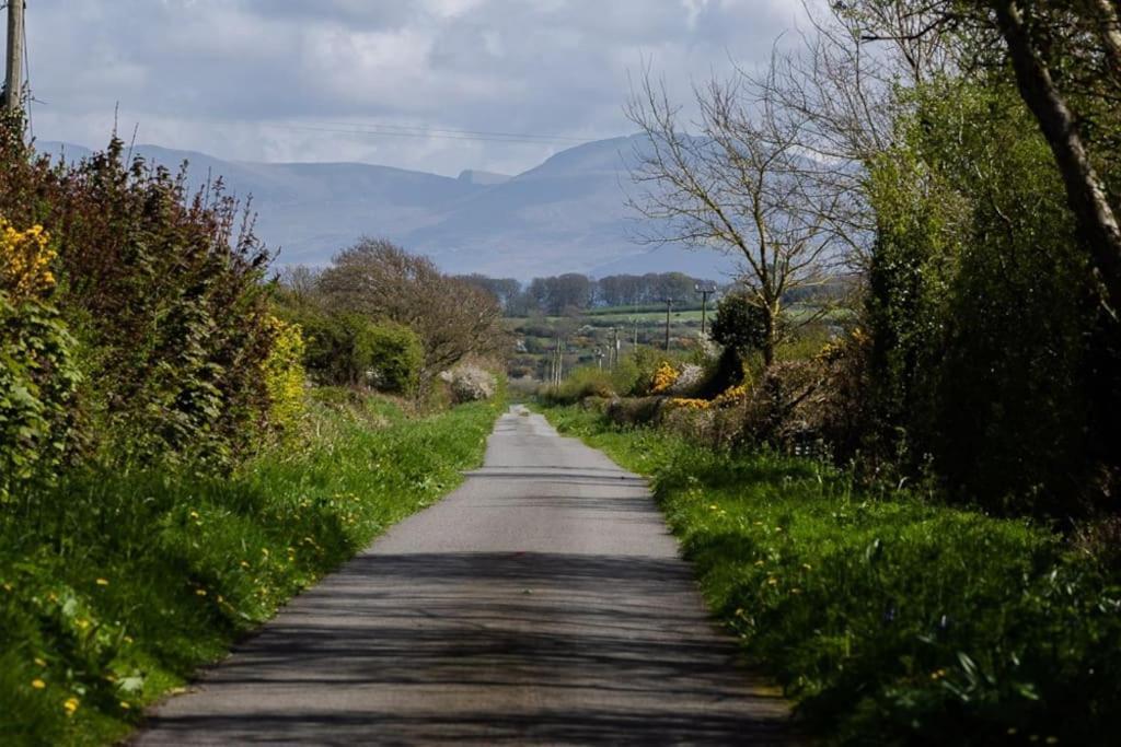 Rhos Y Bel Cottage Angelsey Llangadwaladr  エクステリア 写真