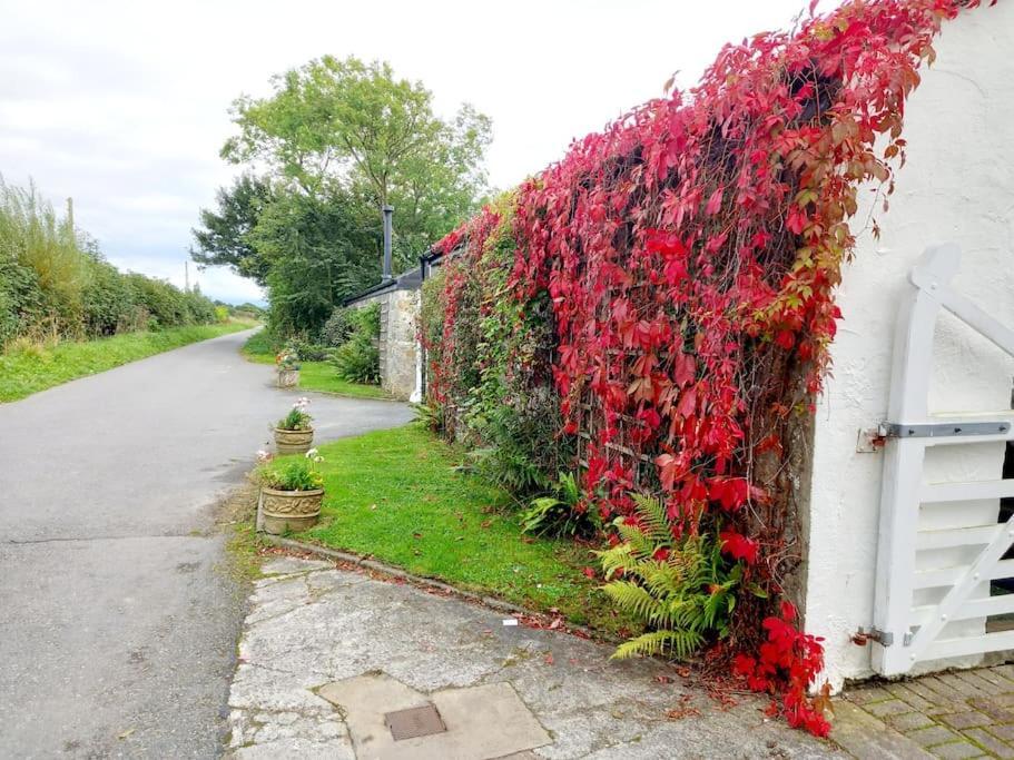 Rhos Y Bel Cottage Angelsey Llangadwaladr  エクステリア 写真