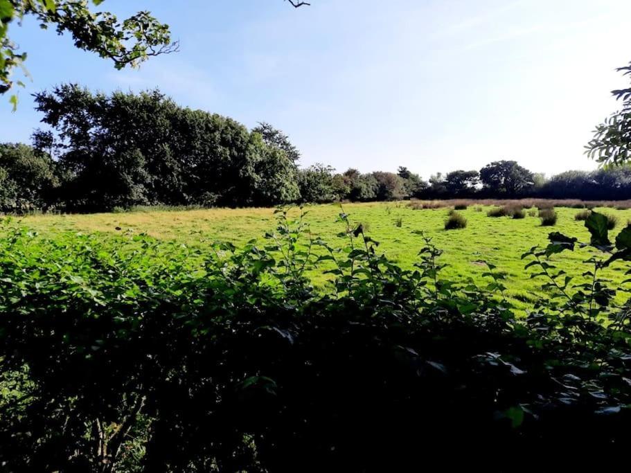 Rhos Y Bel Cottage Angelsey Llangadwaladr  エクステリア 写真