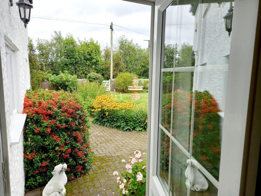 Rhos Y Bel Cottage Angelsey Llangadwaladr  エクステリア 写真