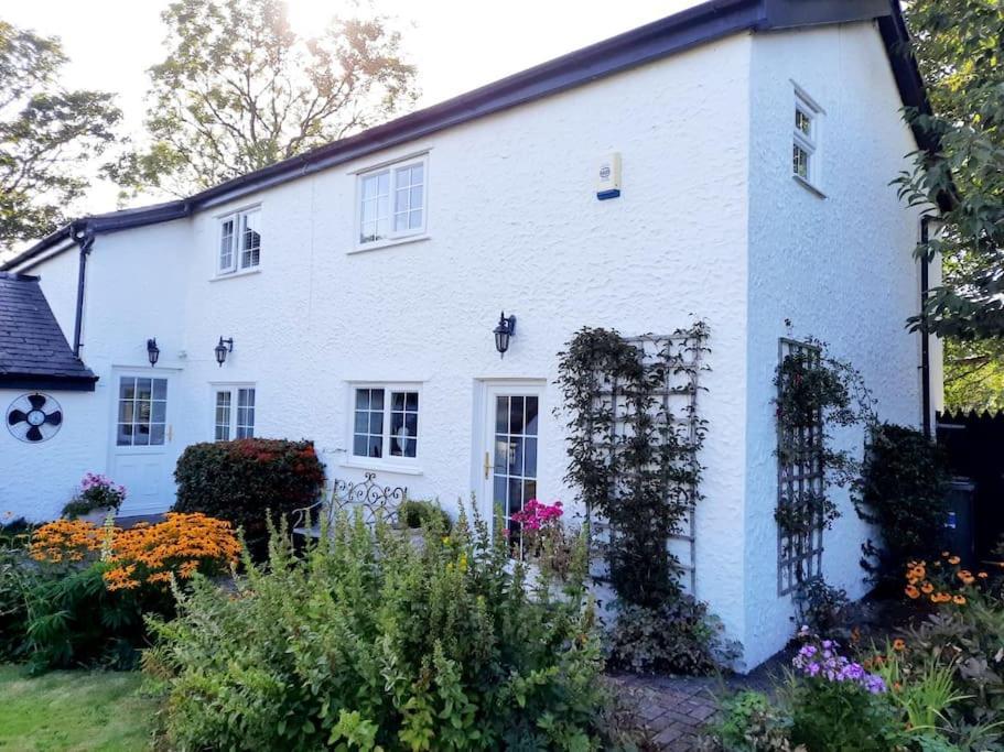 Rhos Y Bel Cottage Angelsey Llangadwaladr  エクステリア 写真